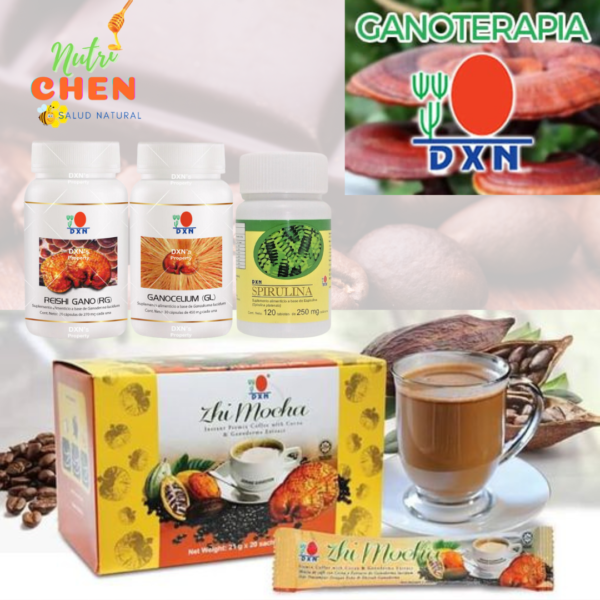 Kit de Ganoterapia con Zhi Mocha